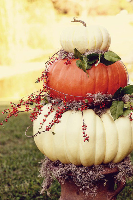 pumpkin-topiary-1.jpg.jpe