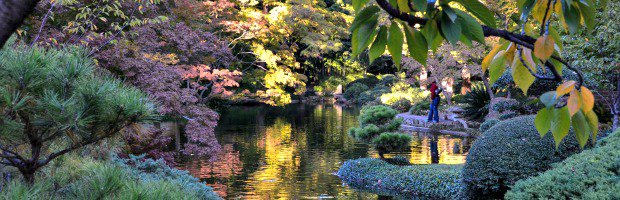 Fort-Worth-Botanic-Garden-Japanese-Garden.jpg.jpe