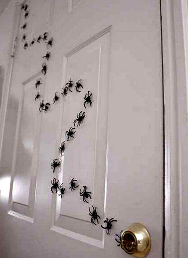 spiders on door.jpg.jpe