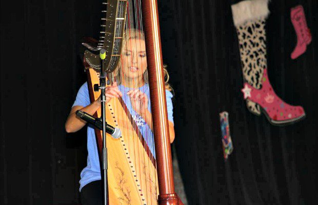 Tew Harp.jpg.jpe