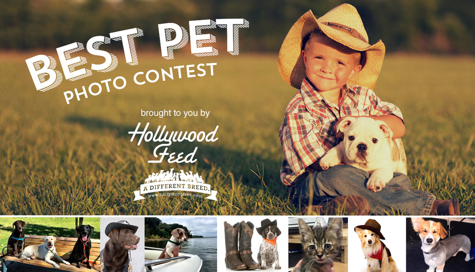 Pet Photo Contest Fort Worth Magazine