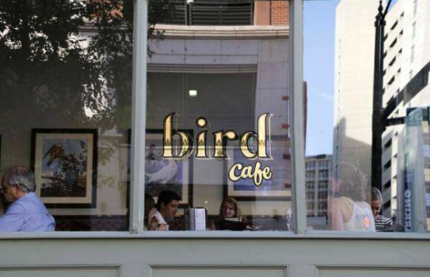birdcafe(1).jpg.jpe