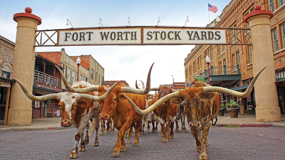 wrangler stockyards