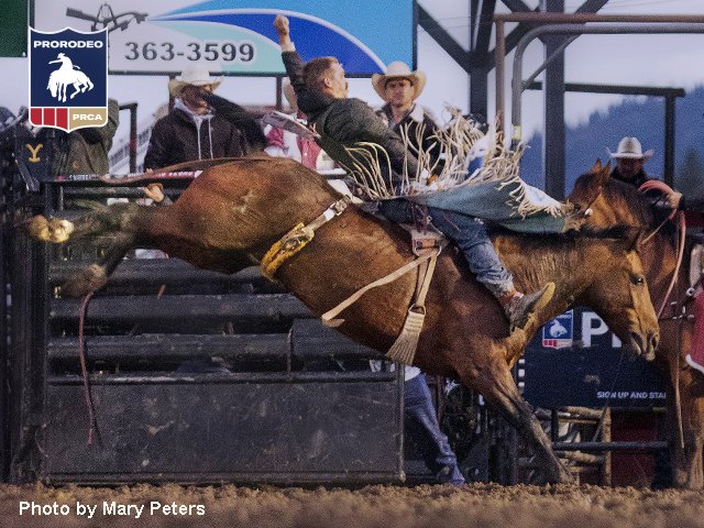 Alternative Bags Ideal For Stadium Rodeo Season - Cowboys and