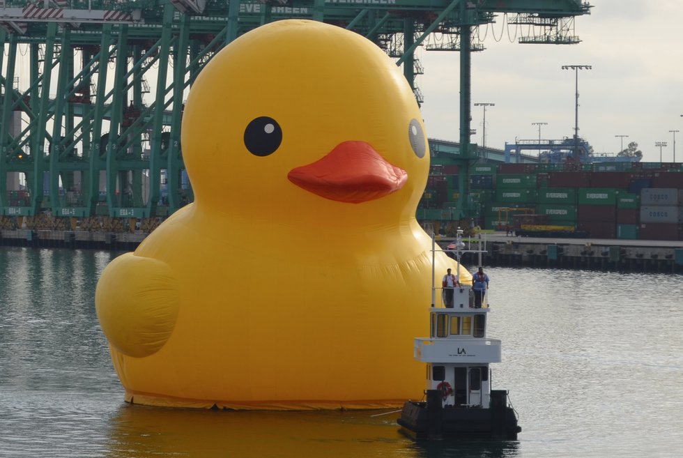 Big #KindnessDuck Party to Take Place Oct. 30 - Fort Worth Magazine