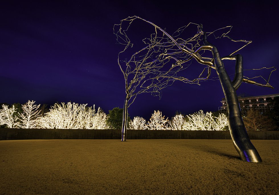2 - Light installation by Christmas Company - David Abrams.jpg