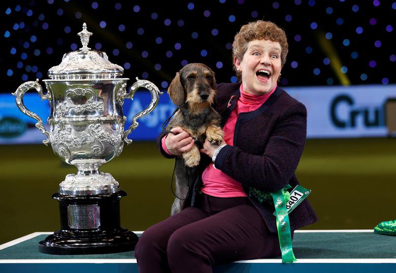 Crufts Dog Show Live Stream How To Watch Online Free TV Channel