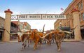 The Fort Worth Herd 1 - credit Visit Fort Worth.jpg
