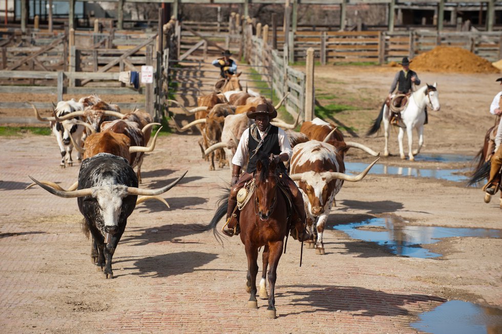 The Fort Worth Herd 2 - credit Visit Fort Worth.jpg