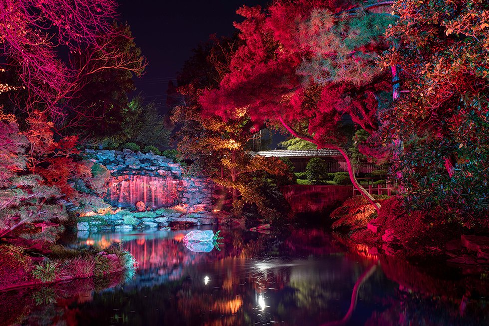 Lightscape_FortWorthBotanicGarden2022-104 (1).jpg