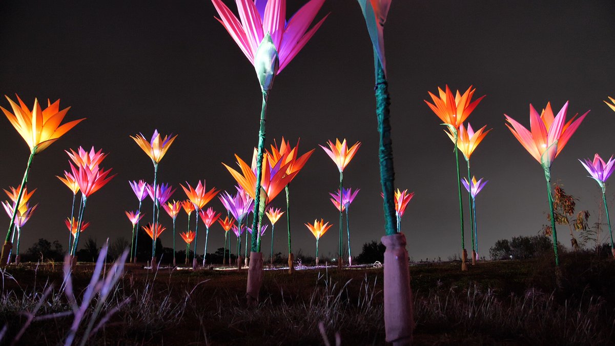 Lightscape Returns to the Fort Worth Botanic Garden With All-New ...