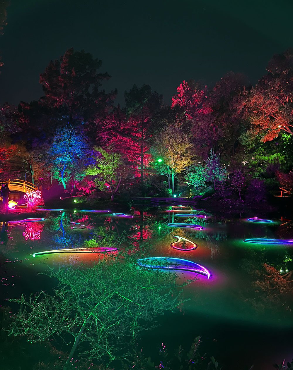 Lightscape Returns to the Fort Worth Botanic Garden With All-New ...