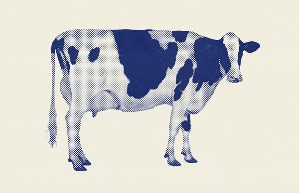 AS-DairyCow-HT-blue.jpg