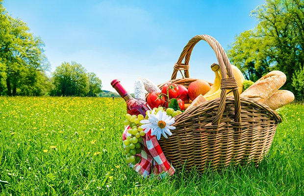 The Six Elements of the Perfect Picnic - Fort Worth Magazine