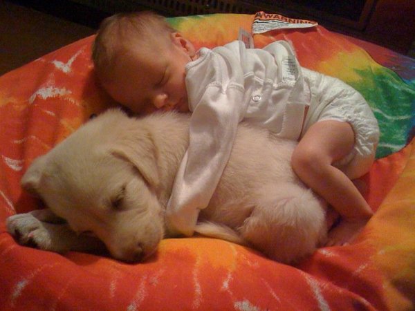 baby-sleeping-on-puppy.jpg.jpe