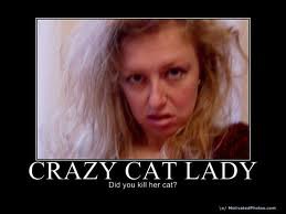 Crazy Cat Lady Internet Dating